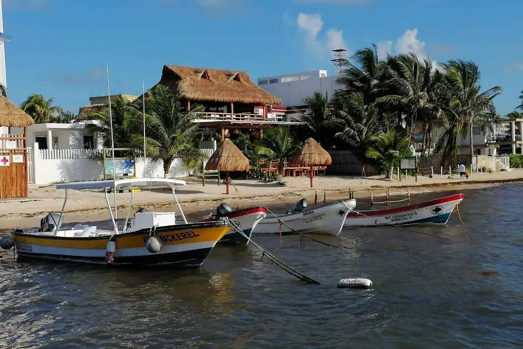 Modern 1 Bedroom Suite By Beach Great Location! Puerto Morelos